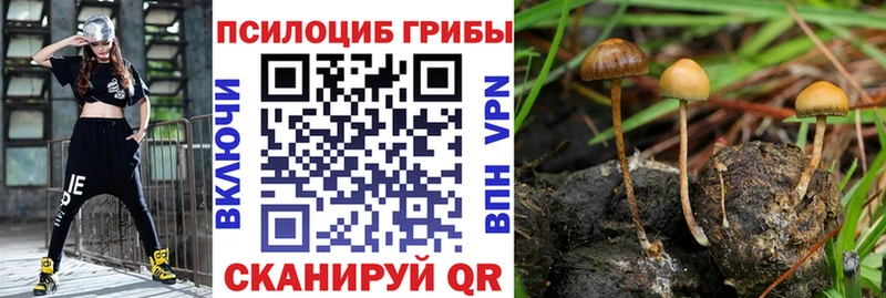 Псилоцибиновые грибы MAGIC MUSHROOMS  как найти   Наро-Фоминск 